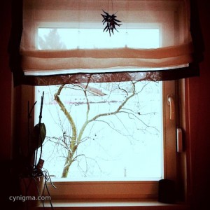 20130112_fenster-in-hohenschoenhausen