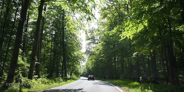 stechlinsee_20120519-143453