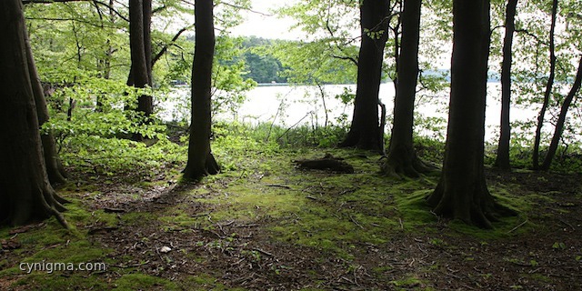 stechlinsee_20120519-145111