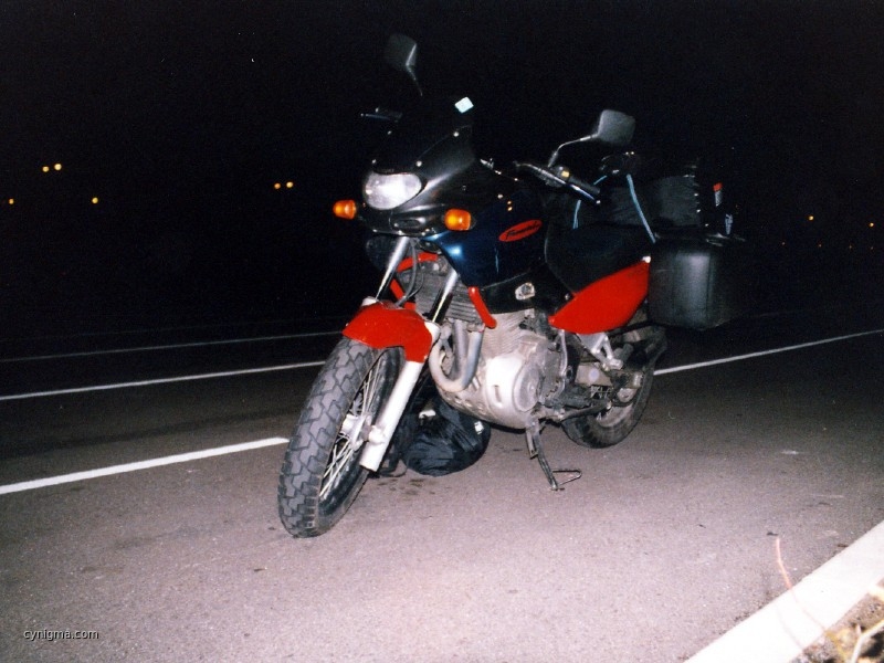 095_g