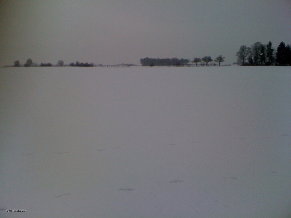 bosch-schnee