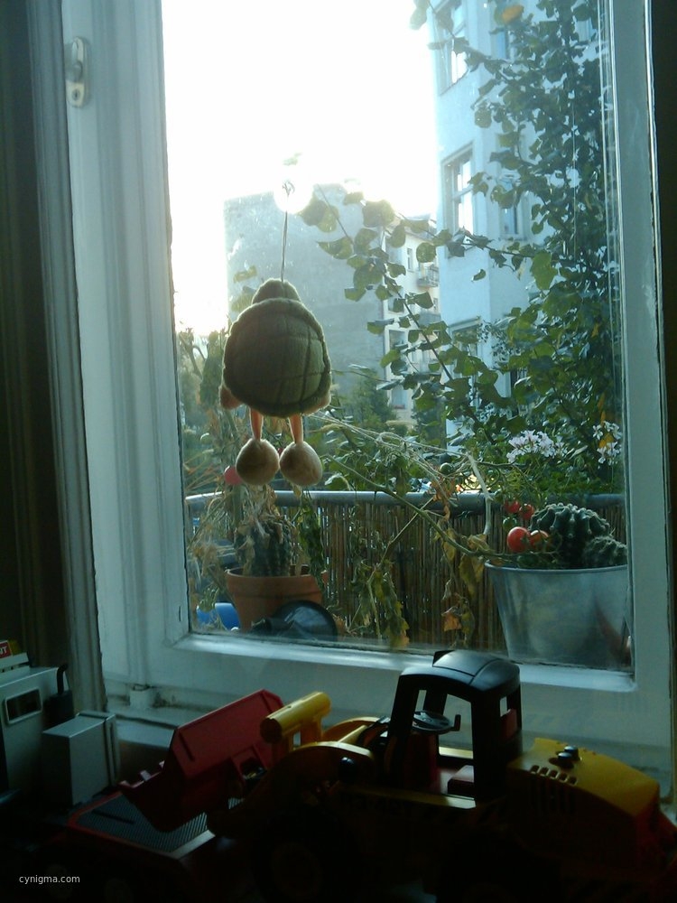 morning-view